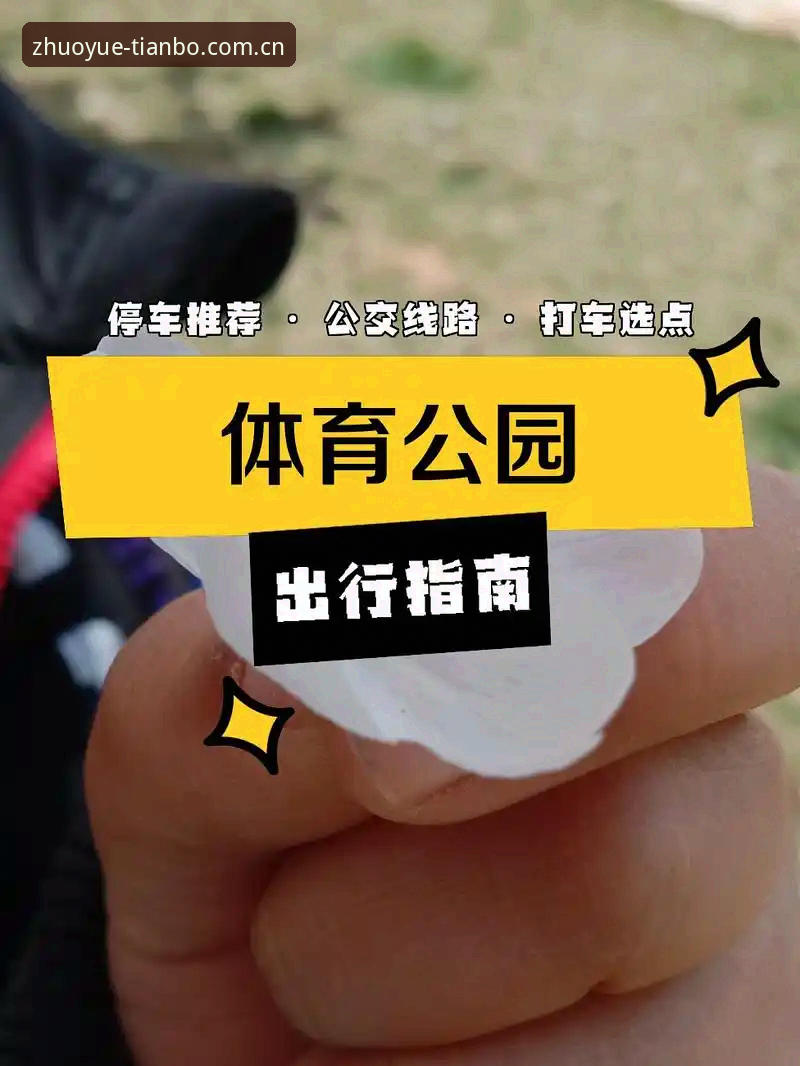天博体育平台电脑登录全攻略：从下载到体验的完整指南